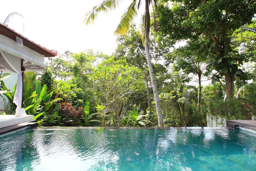 Shamballa Moon Ubud  Room photo